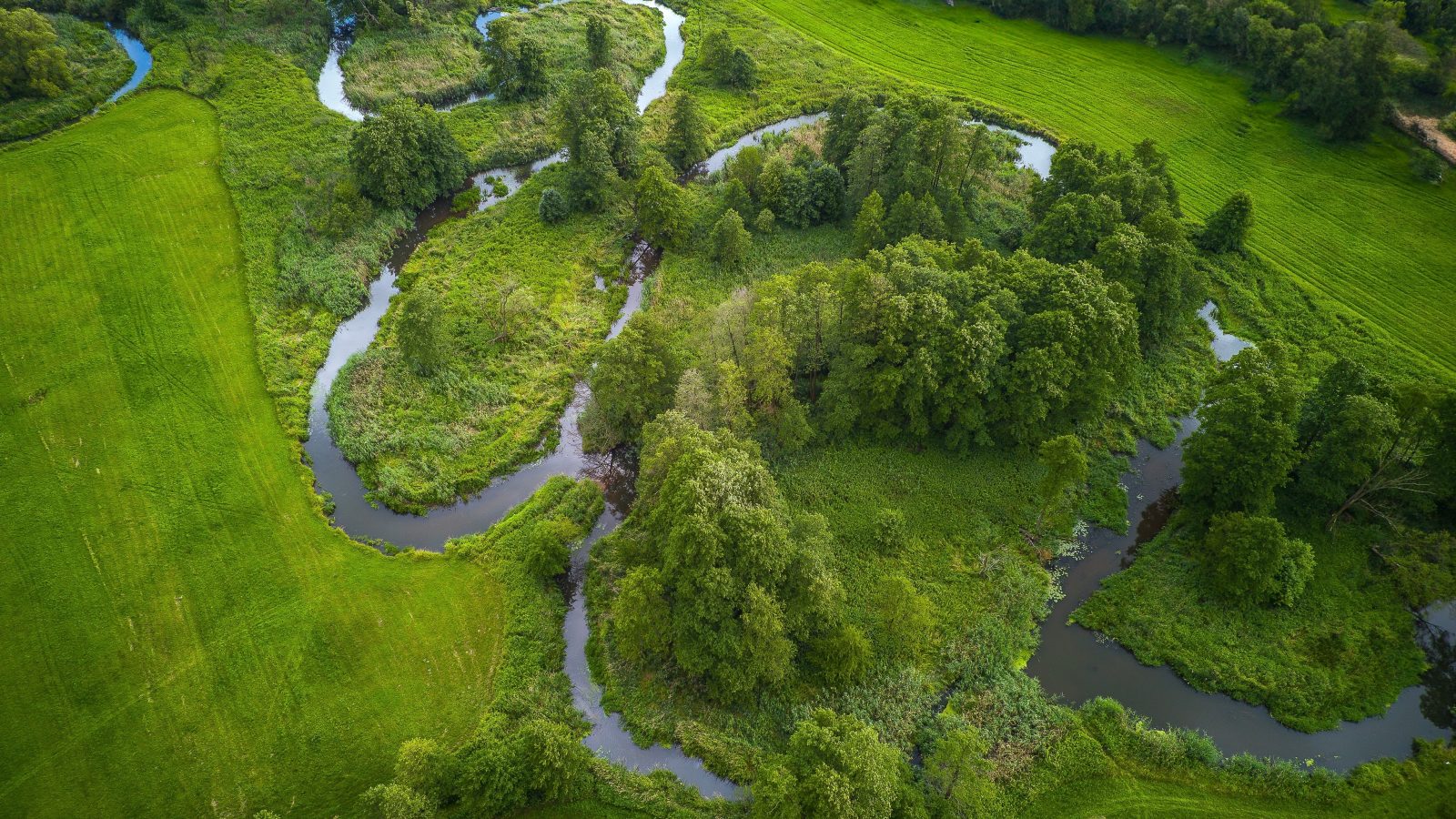 Услуги такси до села Лабра в Абхазии